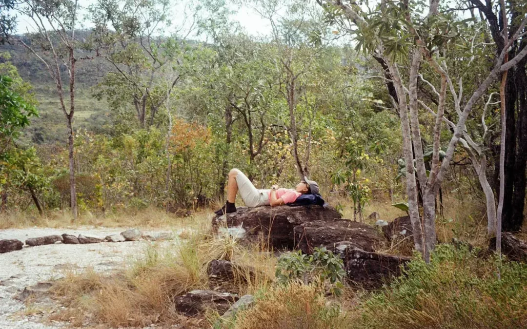 Red Gum Loop
